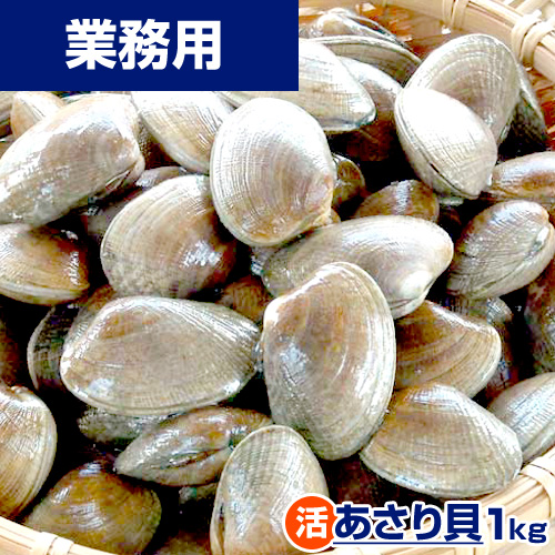 あさり 業務用】生冷凍あさり 1kg前後