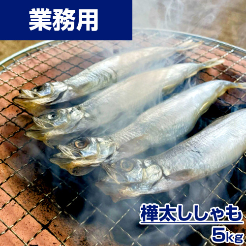 【業務用】からふとししゃも 5kg ｜kg￥1,296