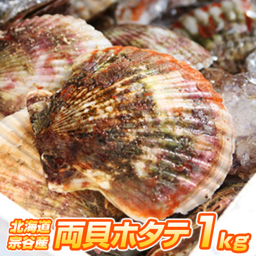 生冷凍 貝付きホタテ 1kg (4～6枚)