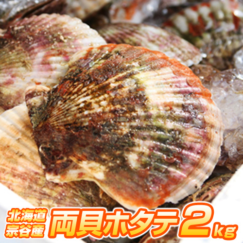 生冷凍 貝付きホタテ 2kg (8～12枚)