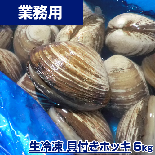 【業務用】生冷凍 貝付きホッキ 6kg（20～25玉） 1kg￥1,415