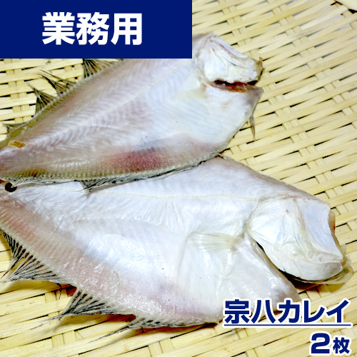 【業務用】宗八カレイ 2枚