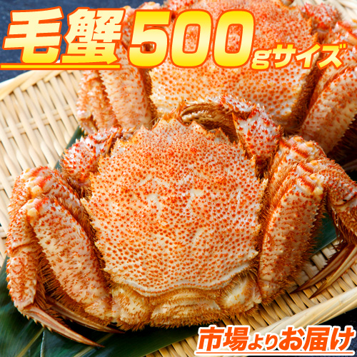 毛ガニ 500ｇ前後