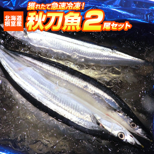 【根室直送】新鮮サンマ 2本 秋刀魚 生冷凍