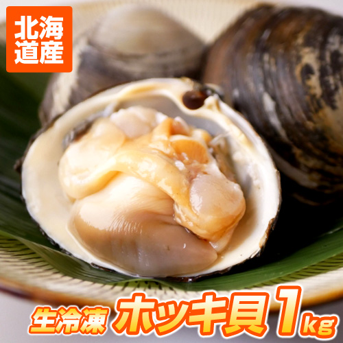 生冷凍 貝付きホッキ貝 1kg (3～5玉前後)