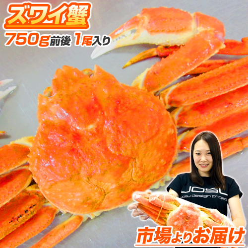 特大 ズワイガニ姿 750g前後