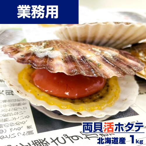 【業務用】活ホタテ 1kg（5～8枚程度）