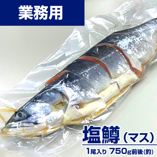 【業務用】塩鱒 切身真空 750g前後
