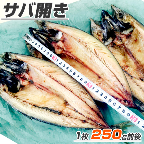 サバ開き 1枚