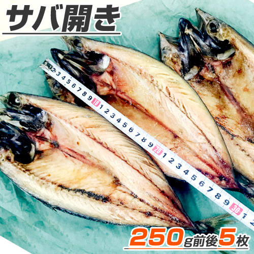 サバ開き 5枚