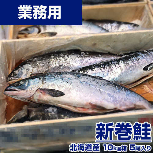 【業務用】新巻鮭 10kg5尾 ｜ 1尾￥3,960