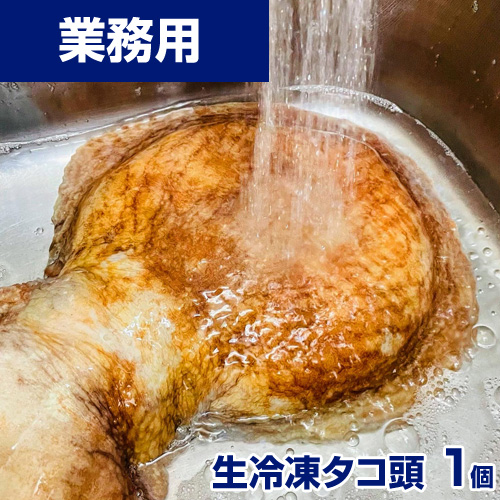 【業務用】羅臼産 生冷凍タコ頭 3kg～600g前後