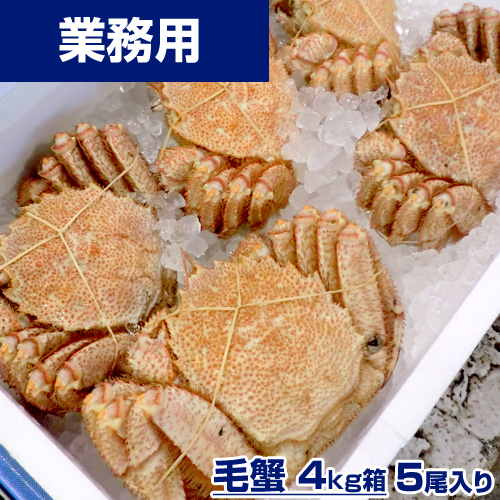 【業務用】毛ガニ 4kg5尾 (1尾800g前後) ○ボイル冷凍