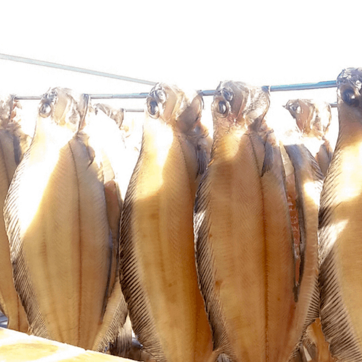 ウオス｜北海道 海産物 通販｜進風水産直営