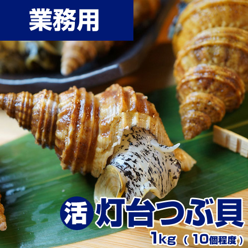 業務用】ホタテ貝柱 2S 1kg (36～40粒)