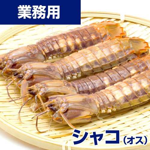 【業務用】ボイルシャコ (オス) 中　20本
