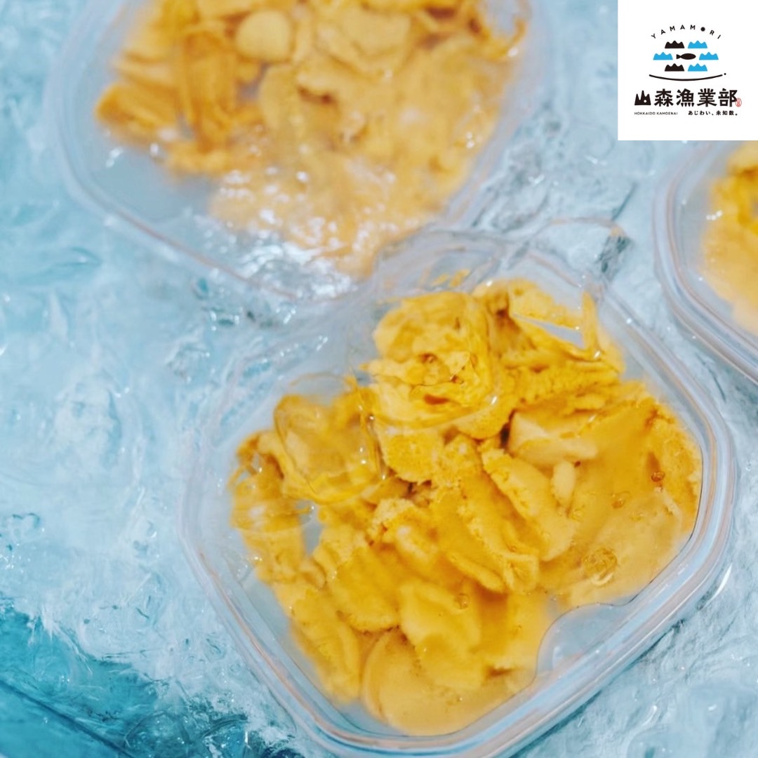 訳あり 塩水うに (白) 4個セット (100g×4) 北海道 積丹半島産 【山森漁業部】2026年度 ムラサキウニ