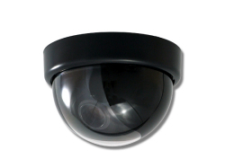 ct-c169_1.jpg