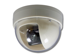 【CT-F018】LED点滅ドーム型ダミーカメラ（アイボリー：ADC-208）