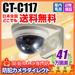 【CT-C117】41万画素　壁面取付カラードームカメラ（f=3.6mm)