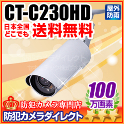 【CT-C230HD】スマホで見える・聞こえる　アウトドア赤外線暗視100万画素IPカメラ