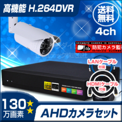 防犯カメラセット・監視カメラセット【セット420-AHD】屋外赤外線暗視防雨VF AHDカメラ1台と4chデジタルレコーダーセット