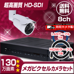 防犯カメラセット・監視カメラセット【セット641-HD】 HD-SDI ハイビジョン画質 防雨型カメラ1台と8chデジタルレコーダー
