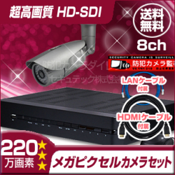 防犯カメラセット・監視カメラセット【セット781-FHDU】 HD-SDI フルハイビジョン画質 防雨型カメラ1台と8chレコーダー