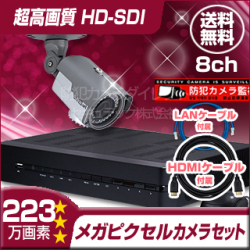 防犯カメラセット・監視カメラセット【セット784-FHDU】 HD-SDI フルハイビジョン防雨型VFカメラ1台と8chレコーダー