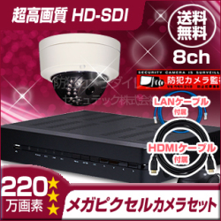 防犯カメラセット・監視カメラセット【セット785-FHDU】 HD-SDI フルハイビジョン画質 防雨・防破壊ドームカメラ1台と8chレコーダー