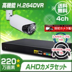 防犯カメラセット・監視カメラセット【セット847-AHD】屋外赤外線暗視防雨電動ズームVF AHDカメラ1台と8chデジタルレコーダーセット