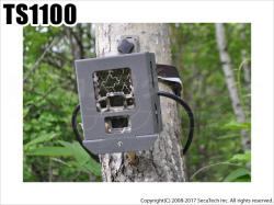 【TS1100】 不法投棄監視カメラ
