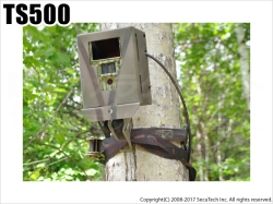【TS500】 不法投棄監視カメラ