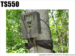 【TS550】 不法投棄監視カメラ