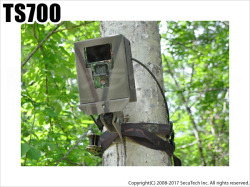 【TS700】 不法投棄監視カメラ（代引不可・返品不可）