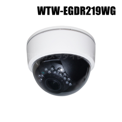 【WTW-EGDR219WG】 500万画素 機器間Wi-Fi対応IPネットワークシリーズ 屋内仕様 赤外線ドームカメラ（代引不可・返品不可）