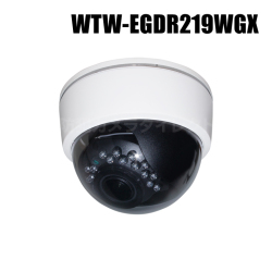 【WTW-EGDR219WGX】 500万画素 機器間Wi-Fi対応 屋内仕様 赤外線ドームカメラ（代引不可・返品不可）