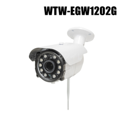 【WTW-EGW1202G】 500万画素 機器間Wi-Fi対応IPネットワークシリーズ 屋外仕様防犯灯カメラ（代引不可・返品不可）