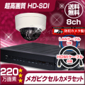 防犯カメラセット・監視カメラセット【セット745-FHD】 HD-SDI ハイビジョン画質 防雨・防破壊ドームカメラ1台と8chデジタルレコーダー