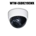【WTW-EGDR219EWX】 EAGLEシリーズ 4K800万画素 機器間Wi-Fi対応 屋内仕様 赤外線ドームカメラ（代引不可・返品不可）