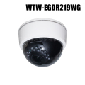 【WTW-EGDR219WG】 500万画素 機器間Wi-Fi対応IPネットワークシリーズ 屋内仕様 赤外線ドームカメラ（代引不可・返品不可）