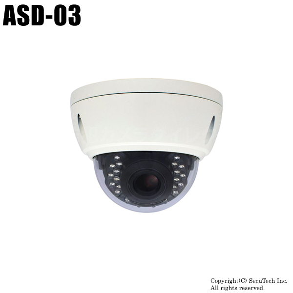 【ASD-03】キャロットシステムズ製 SD録画機能搭載防犯カメラ （代引不可・返品不可）