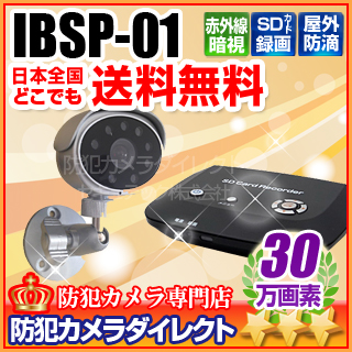 【IBSP-01】INBES製 防犯録画スターターパック（30万画素カメラ+SDレコーダーセット）
