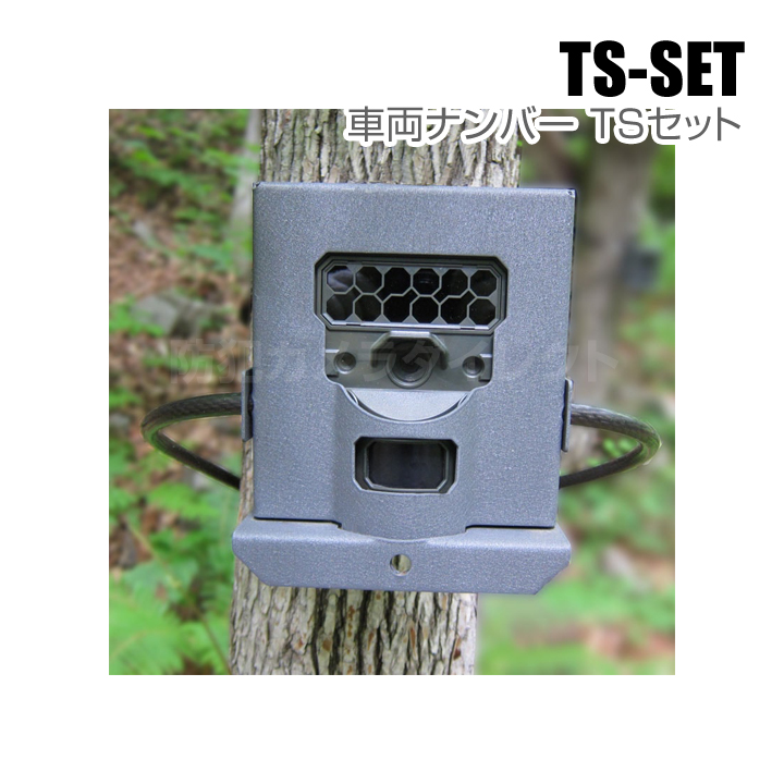 【TS-SET】車両ナンバー撮影 TSセット（代引不可・返品不可）
