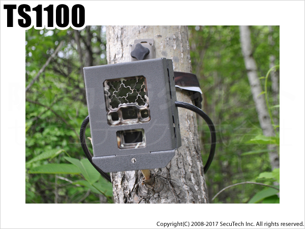 【TS1100】 不法投棄監視カメラ