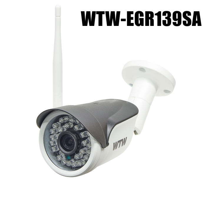 【WTW-EGR139SA】 300万画素 機器間Wi-Fi対応IPネットワークシリーズ 屋外仕様 防犯灯カメラ（代引不可・返品不可）