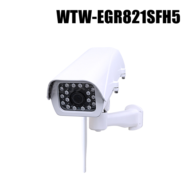 【WTW-EGR821SFH5】 365万画素 機器間Wi-Fi対応IPネットワークシリーズ 温暖地・寒冷地仕様 赤外線カメラ（代引不可・返品不可）