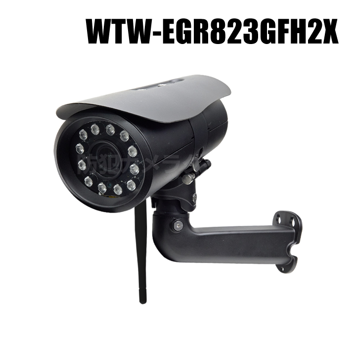 【WTW-EGR823GFH2X】 500万画素 機器間Wi-Fi対応IPネットワークシリーズ 屋外寒冷地仕様 赤外線カメラ（代引不可・返品不可）