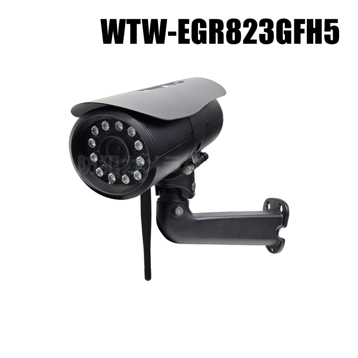 【WTW-EGR823GFH5】 500万画素 機器間Wi-Fi対応IPネットワークシリーズ 屋外寒冷地仕様 赤外線カメラ（代引不可・返品不可）