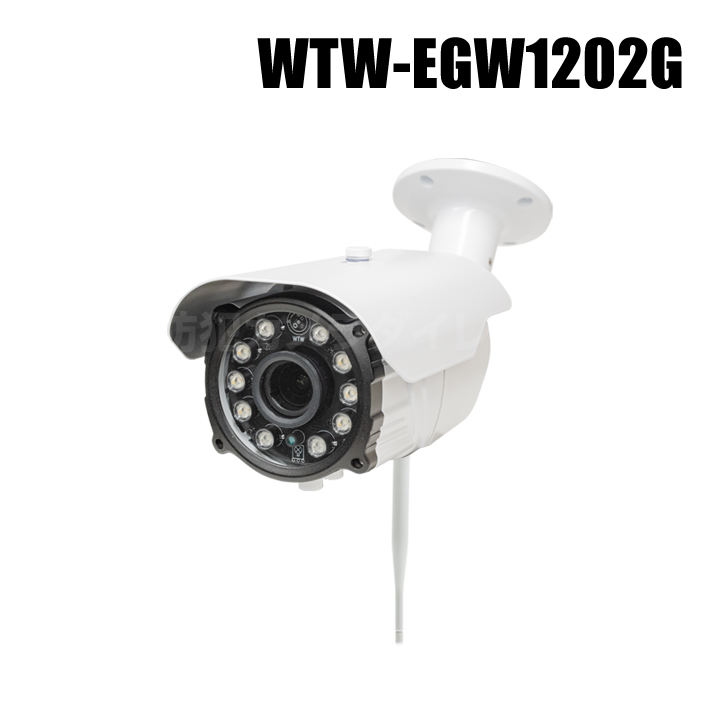 【WTW-EGW1202G】 500万画素 機器間Wi-Fi対応IPネットワークシリーズ 屋外仕様防犯灯カメラ（代引不可・返品不可）
